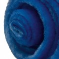 Is a MERV 12 Filter the Right Choice for Your Home?