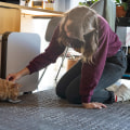 Shop Smart for Air Filters: Discover Cost-Effective Options That Keep Your Family’s Air Fresh and Safe