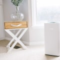 Which Air Filters are Best for Allergies?