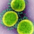Can COVID-19 Spread Through Airborne Transmission?