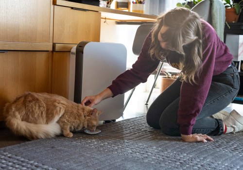 Shop Smart for Air Filters: Discover Cost-Effective Options That Keep Your Family’s Air Fresh and Safe